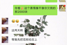 西藏专业要账公司